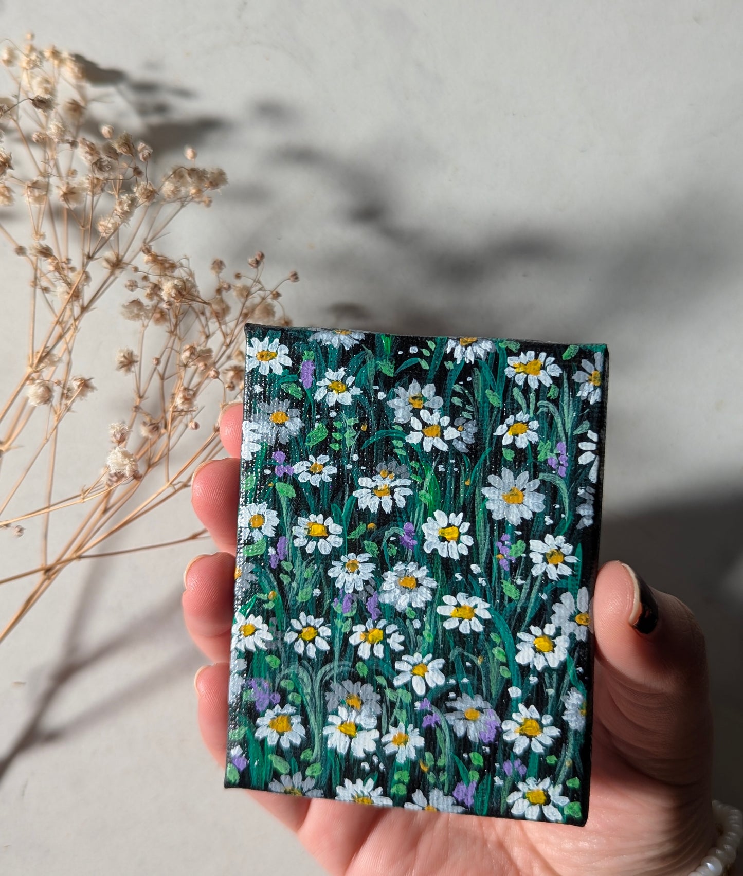 Daisy Blooms