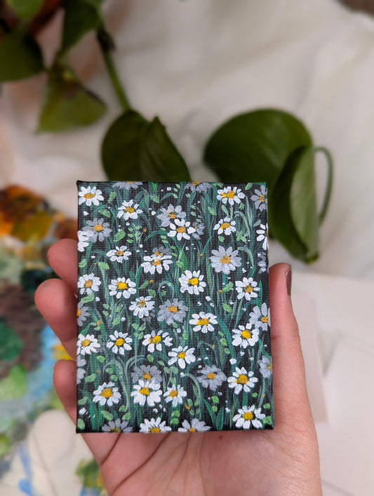 Daisy Blooms
